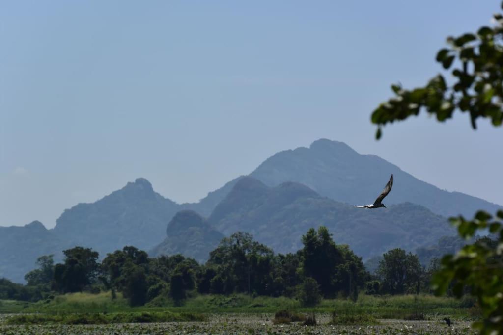 Sigiriya Village Home Stay Exterior foto